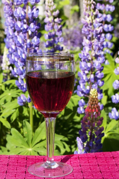 Pohár vörös bor — Stock Fotó