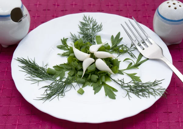 Свежий салат из зеленых овощей — стоковое фото