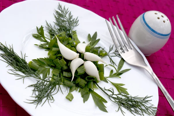 Fräsch aptitretande sallad från gröna grönsaker — Stockfoto