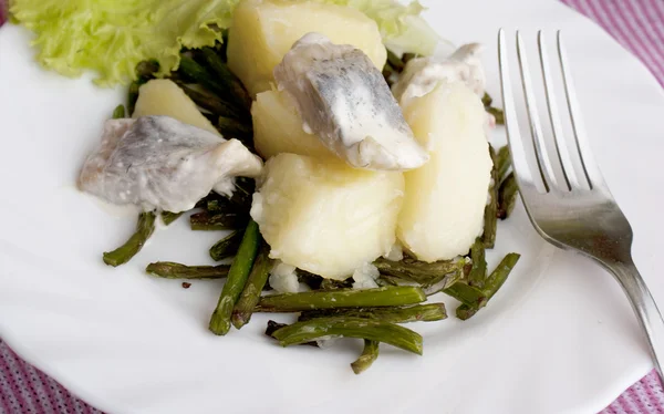 Appetizing marinaded herring — Stok Foto