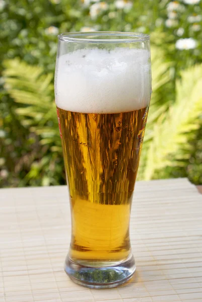 stock image The big glass dark of cold barley beer