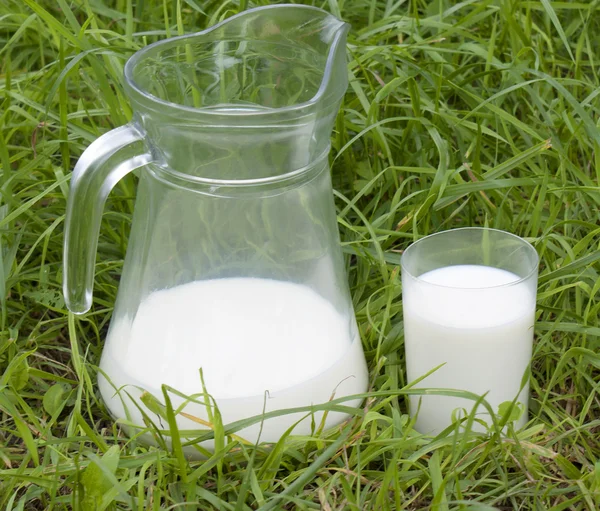 Verse milk.dairy product achtergrond — Stockfoto
