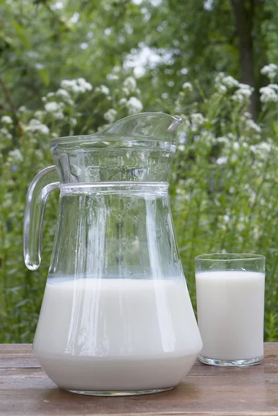 Färsk mjölk i grön sommarträdgård — Stockfoto