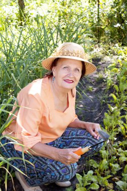 Female,agriculture,gardening,beet,woman,instrument,health,healthy,plants,elegant,vegetables,elegance,food,natural,ecology,ecological,onions,nobody,objects,sitting,person,one,adult,caucasian,smiling,ha clipart