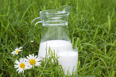 Fresh milk upon green grass background clipart