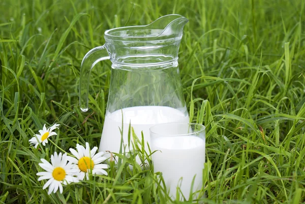 Fresh milk upon green grass background — Stock Photo, Image