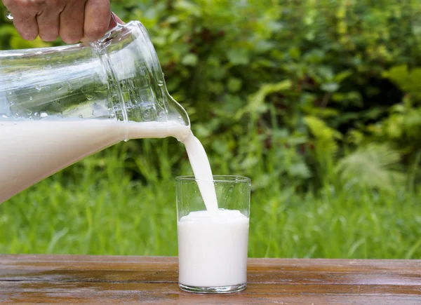 Färsk mjölk över natur bakgrund — Stockfoto