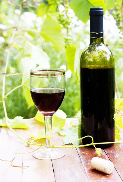 Red wine bottle, glass — Stock Photo, Image