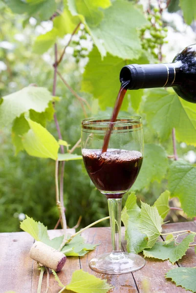Пляшка червоного вина, склянка — стокове фото