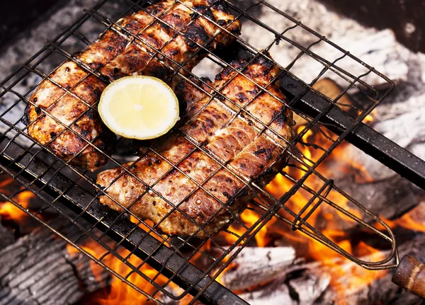 Smakelijk barbecue tegen brand vlam — Stockfoto