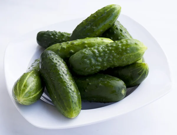 Fresh young cucumber — Stock Photo, Image
