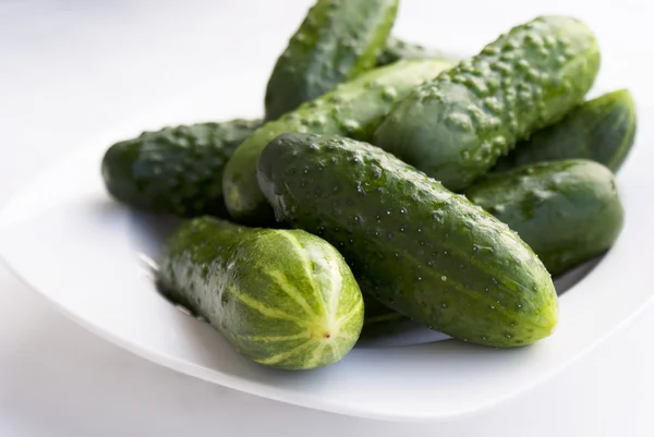 Fresh young cucumber — Stock Photo, Image