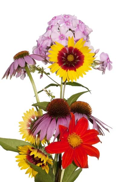 Kytice letní zahrady květiny — Stock fotografie