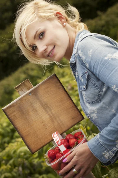 Beautiful blonde woman picking strawberries