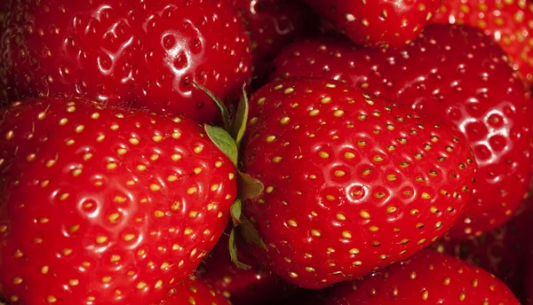Achtergrond van weelderige rijpe rode aardbeien — Stockfoto