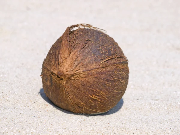 Noix de coco sur un sable blanc . — Photo