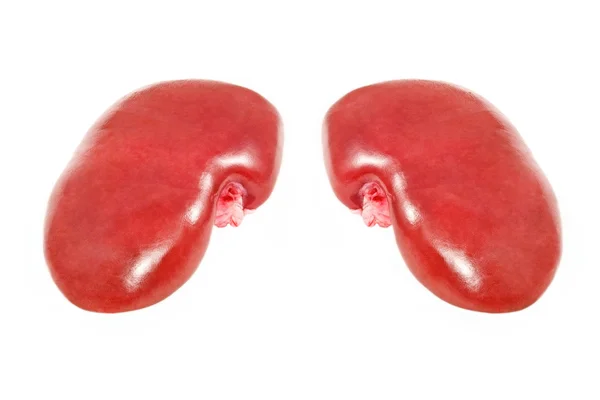 Dois porco kidney.Isolated . — Fotografia de Stock