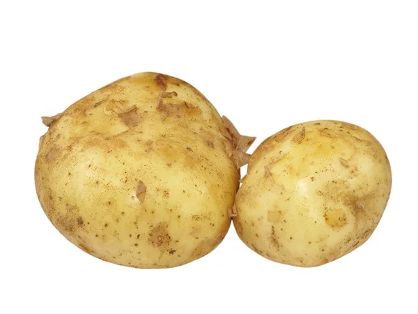 Duas batatas. Isoladas. . — Fotografia de Stock