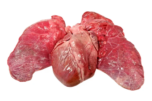 Pig heart and lung.Isolated. — Stock Photo, Image