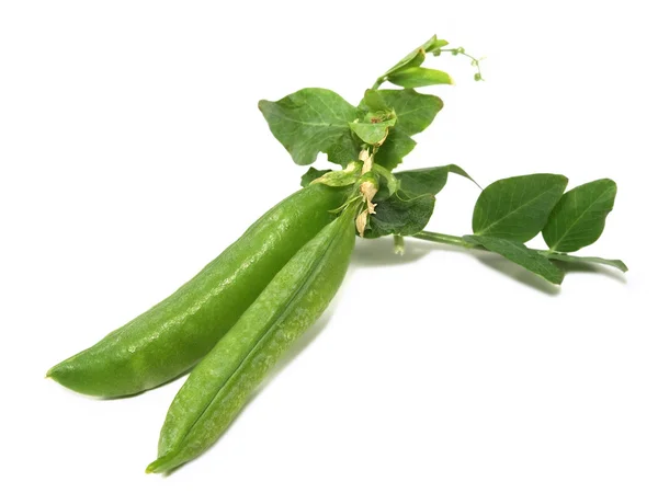 Green peas. — Stock Photo, Image