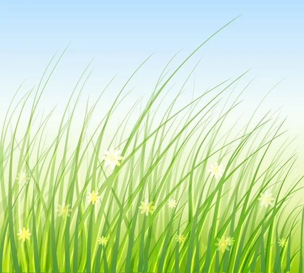 Yeşil çim vektör çizim — Stok Vektör