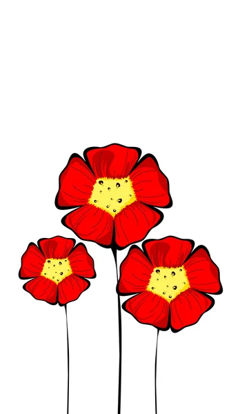 Üç izole renkli kırmızı çiçekler — Stok fotoğraf