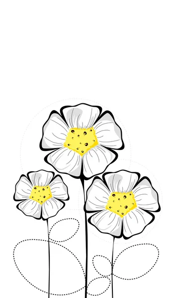 Drie geïsoleerde kleurrijke witte bloemen — Stockfoto