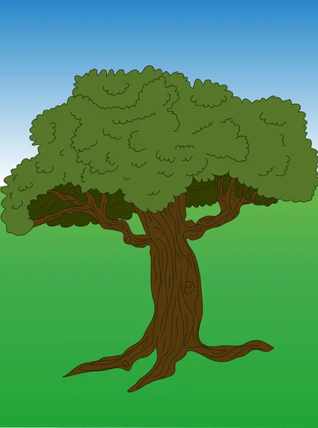 Der bunte grüne Baum draußen — Stockfoto