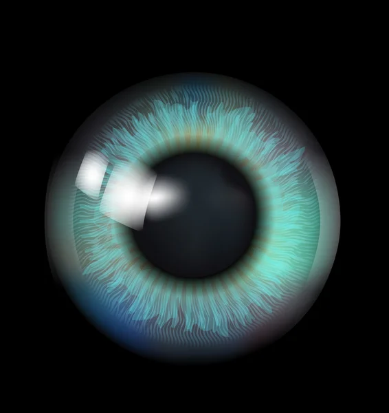 Gyönyörű szemgolyó — Stock Vector