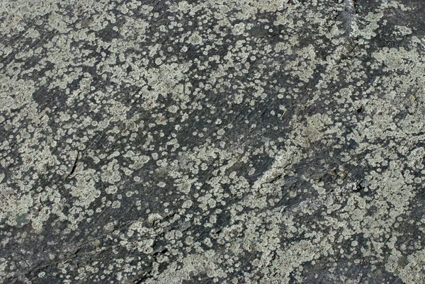 Texture, background, stone. — Stock Photo, Image