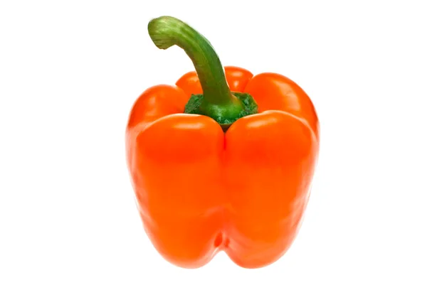 Oranje peper. — Stockfoto