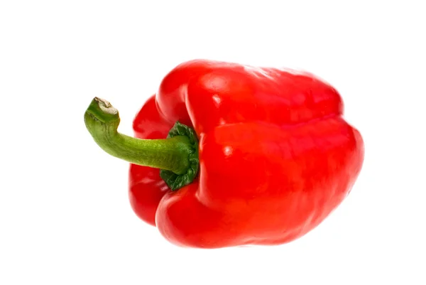Röd paprika, vit bakgrund — Stockfoto