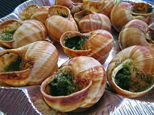 Snails. — Stock Photo, Image