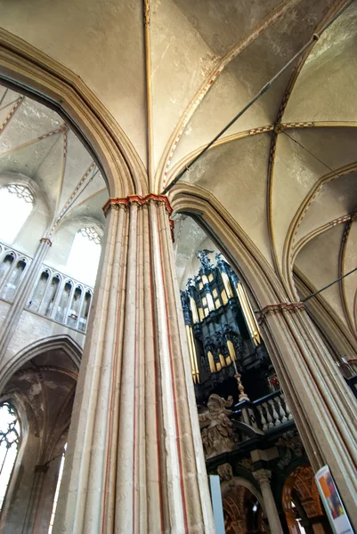 Gotycka katedra w Kolonii. — Zdjęcie stockowe