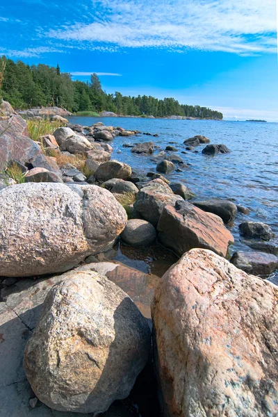 Берег Балтийского моря . — стоковое фото