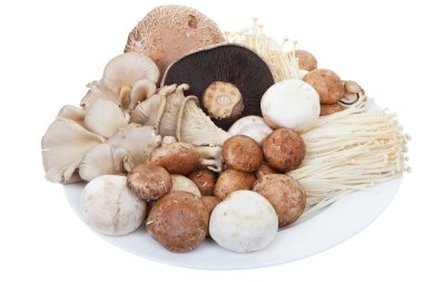 Mixed mushrooms clipart