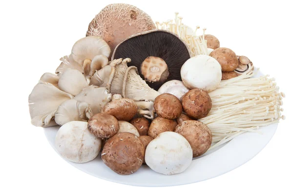 Cogumelos mistos — Fotografia de Stock