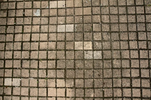 stock image Pavement