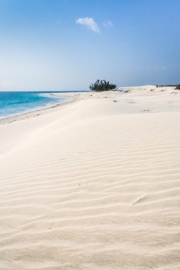 kumullar ve vahşi beach