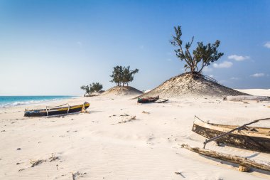 kumullar ve vahşi beach