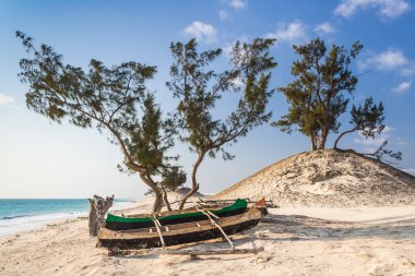 kumullar ve vahşi beach