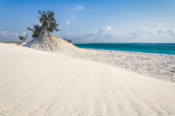 Dünen und wilder Strand — Stockfoto