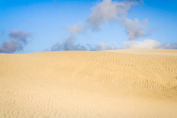 Kum tepeciği — Stok fotoğraf