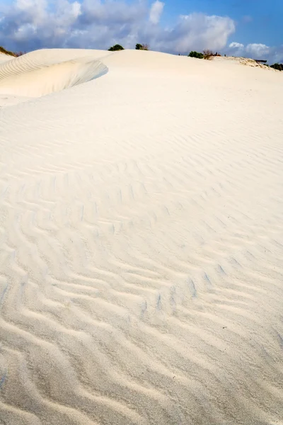 Duna de arena blanca —  Fotos de Stock