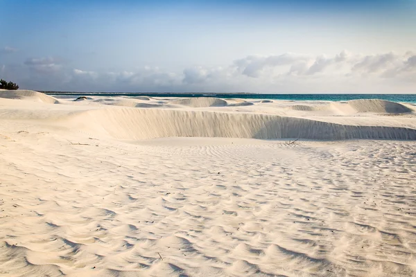 Dune de sable blanc — Photo