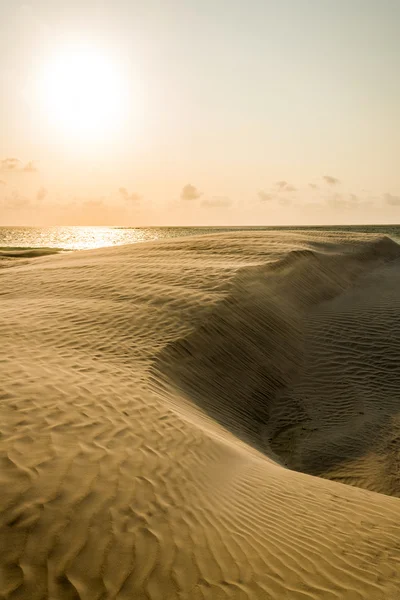 White sand dune — Stock Photo, Image
