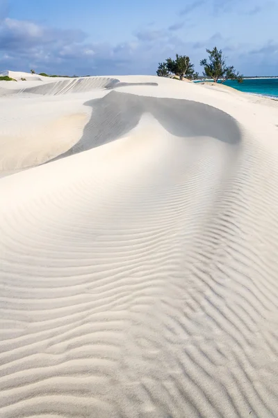 Białe wydmy — Zdjęcie stockowe