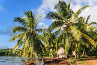 Tropical landscape clipart