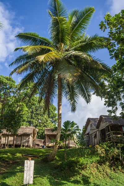 Tropikalna wioska — Zdjęcie stockowe