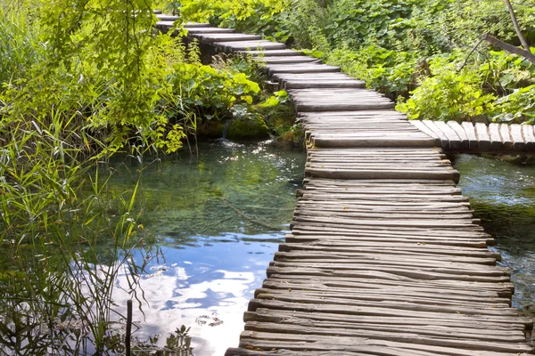 Drewniana ścieżka - Jeziora Plitwickie, Chorwacja. — Zdjęcie stockowe